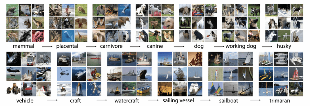 imagenet