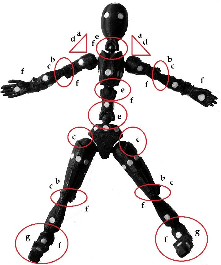 Pose Estimation Joints