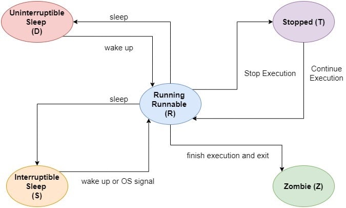 Process Life Cycle