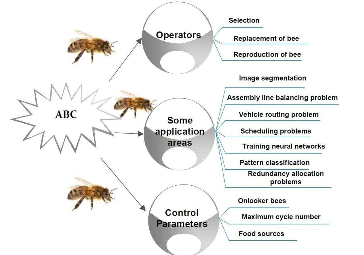 artificial bee colony algorithm