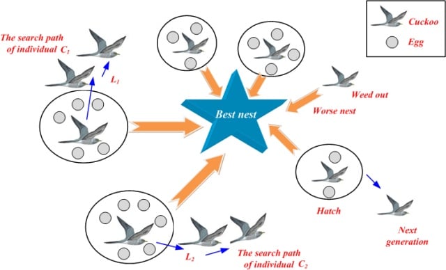 Cuckoo Search Algorithm Schematic