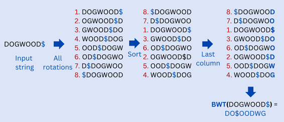 BWT for compression