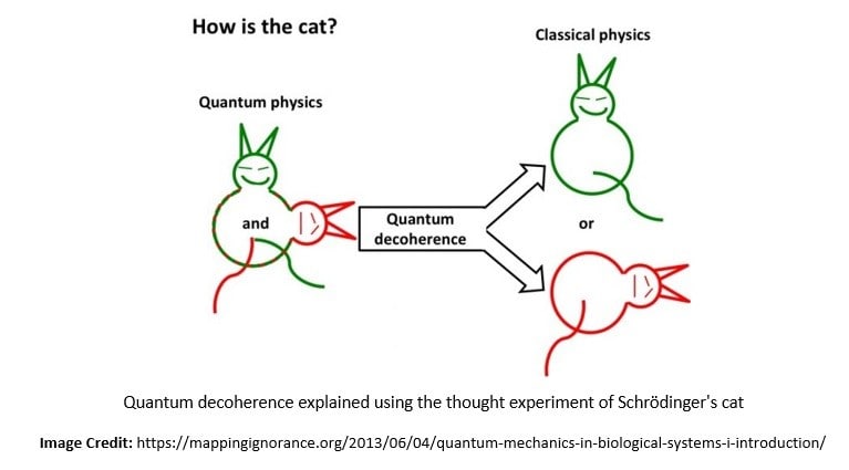 Quantum Decoherence