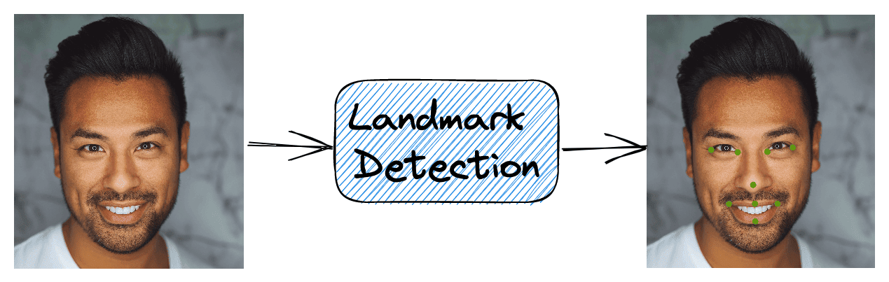 facial landmark detection