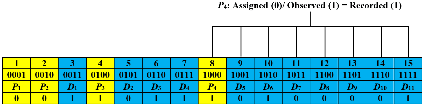 hamming code p4 detect