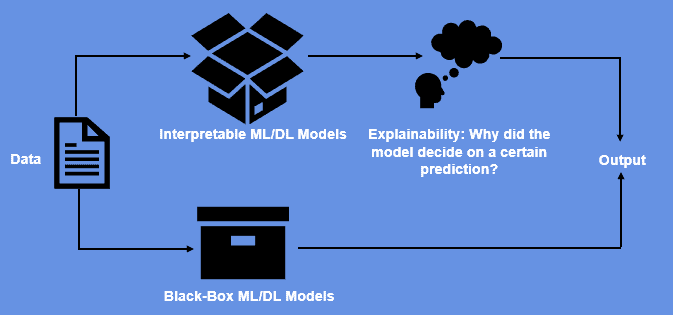 XAI vs Black box