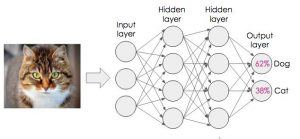 Artificial neural networks