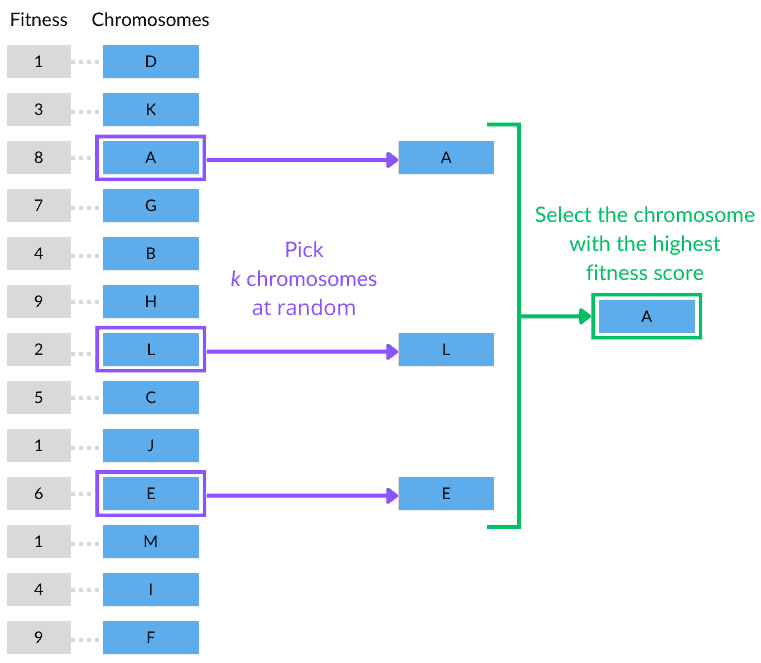 Tournament Selection