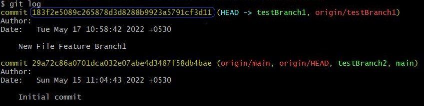 Git Merge Feature Branch 1 Commit Log
