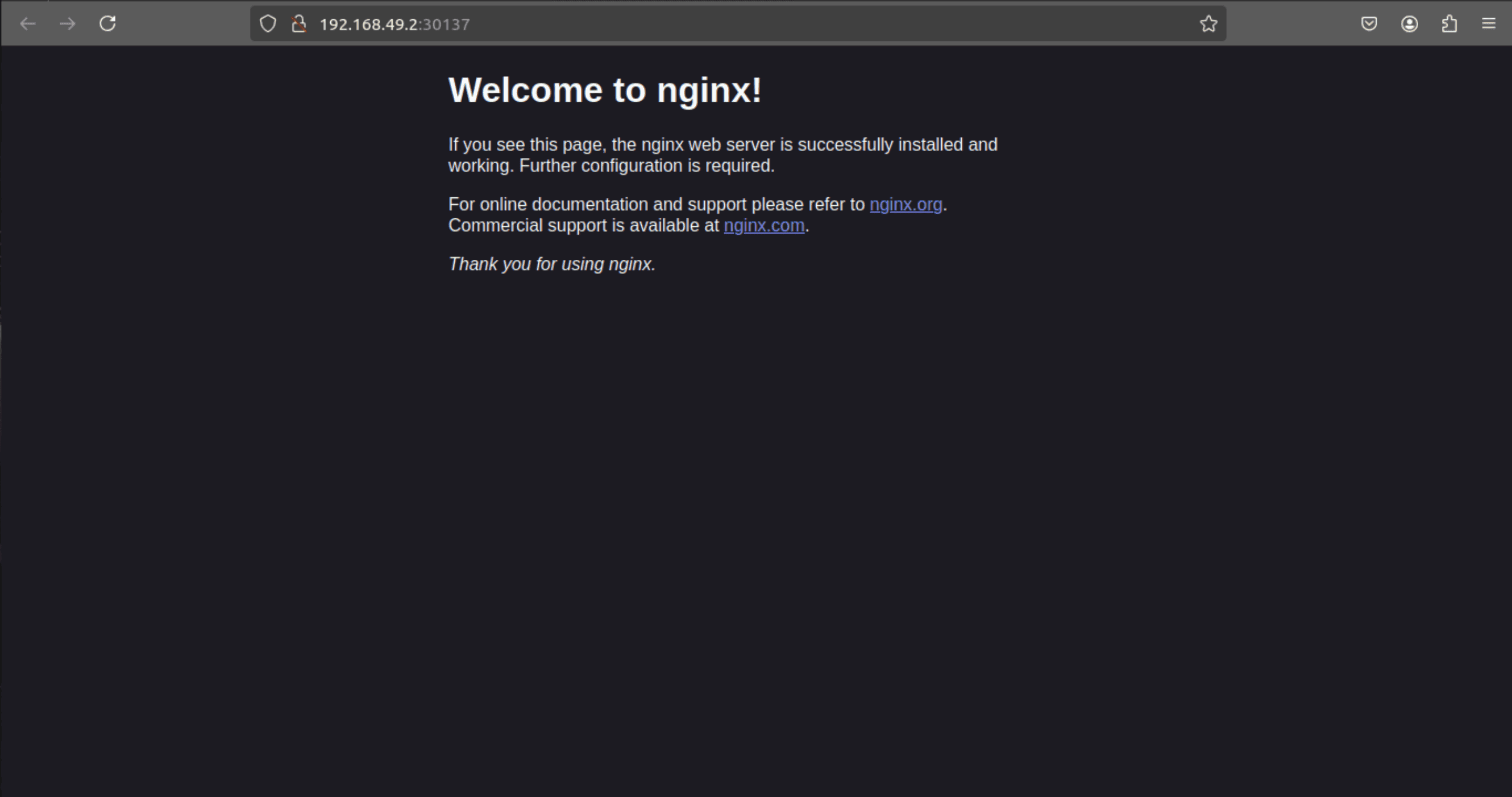 The default NGINX welcome page