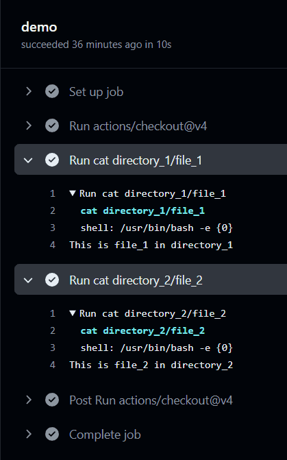 using path in Github Actions run steps